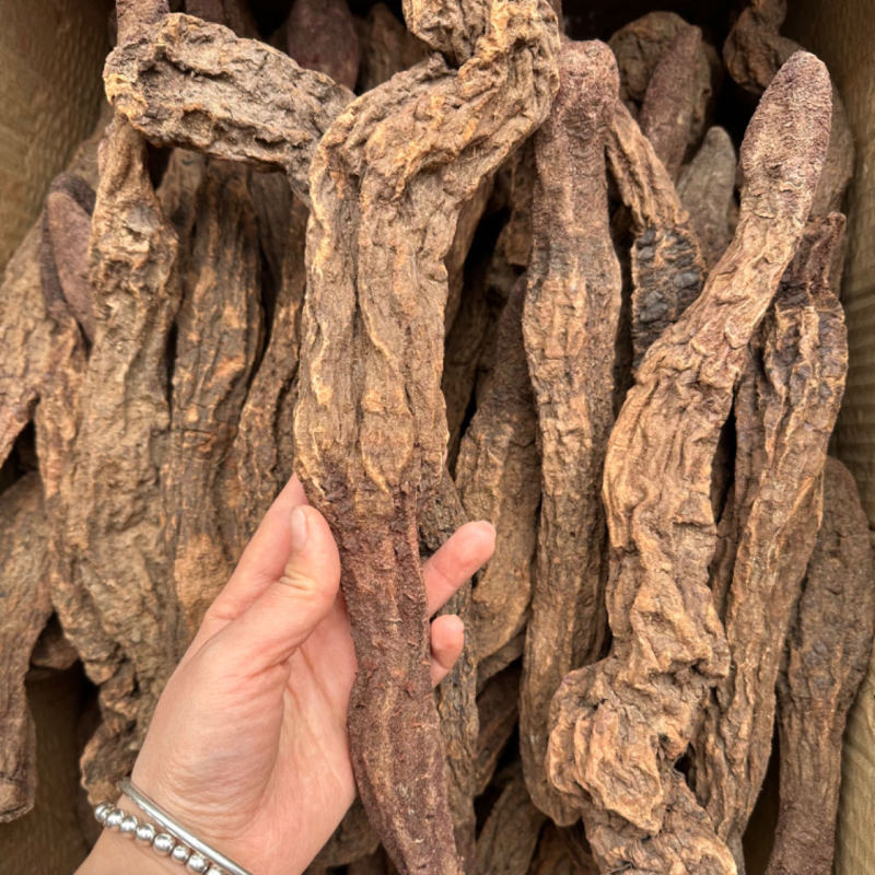 正品金锁阳条整根金锁阳个肉苁蓉正品泡酒整根淫羊藿泡酒料滋