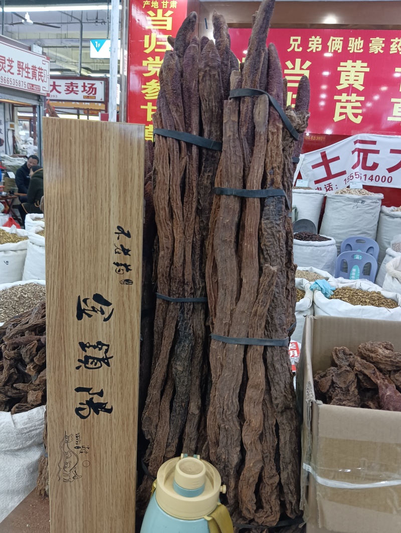 正品金锁阳条整根金锁阳个肉苁蓉正品泡酒整根淫羊藿泡酒料滋