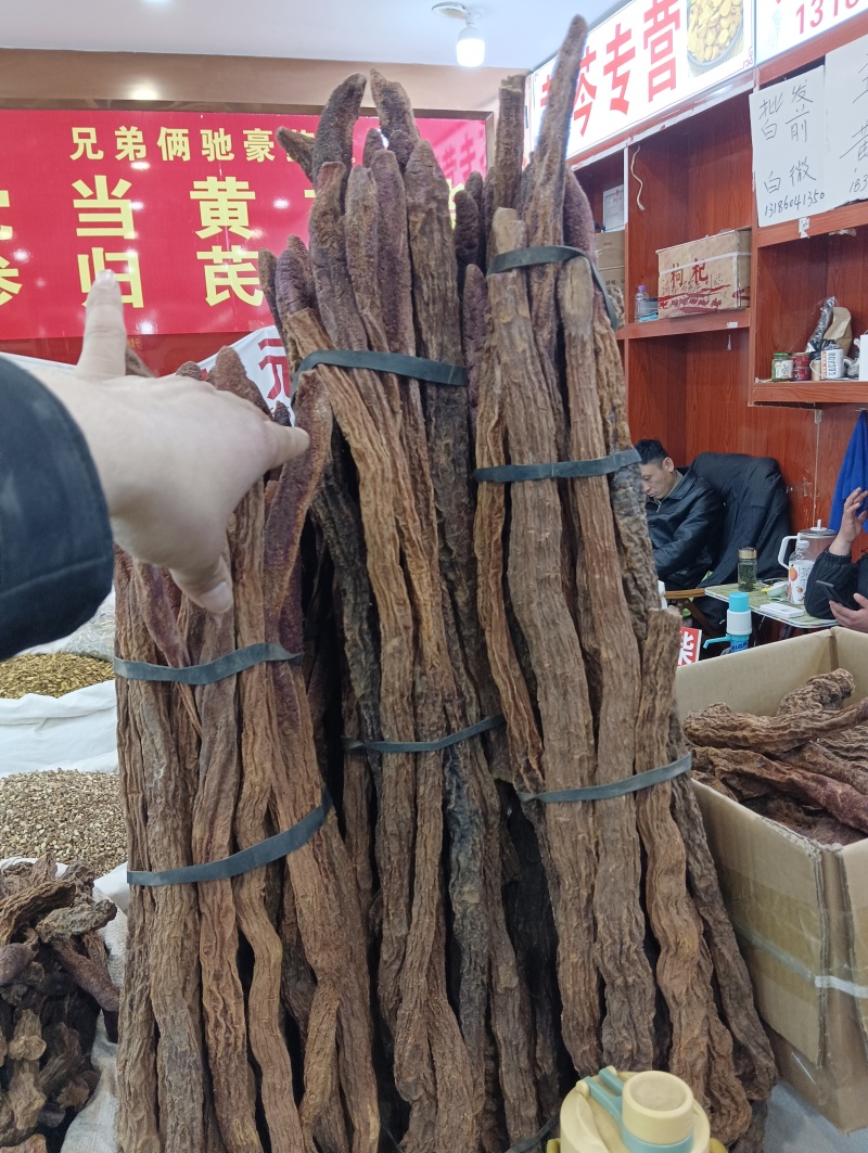 正品金锁阳条整根金锁阳个肉苁蓉正品泡酒整根淫羊藿泡酒料滋