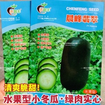 水果小冬瓜种子清爽脆甜黑皮绿肉实心冬瓜种子翡翠水果冬瓜种