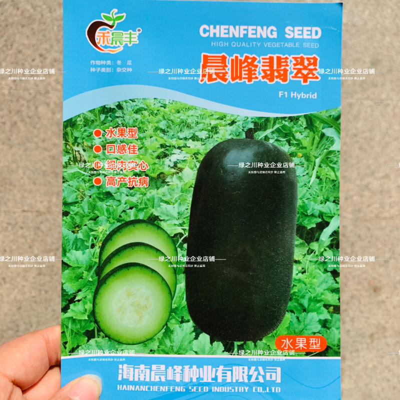 水果小冬瓜种子清爽脆甜黑皮绿肉实心冬瓜种子翡翠水果冬瓜种