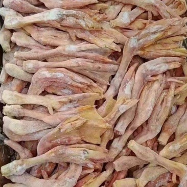 精品老鹅爪大量供应，货源充足，新鲜发货量大从优。