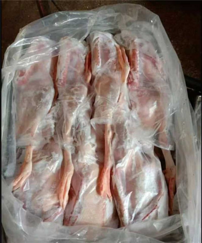 红头鸭大量供应保质保量新鲜发货，对接全国平台，量大从优