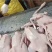 精品白条鹅大量供应，量大从优厂家直发，新鲜发货