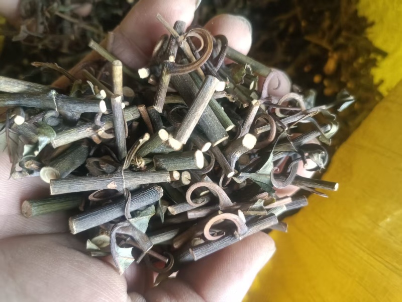 贵州钩藤产地直发品质优秀可视频看货欢迎选购