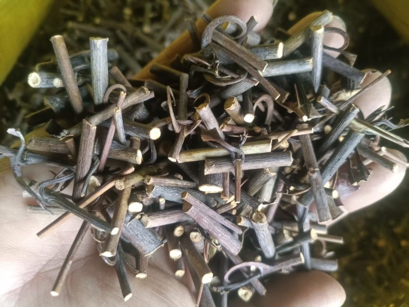 贵州钩藤产地直发品质优秀可视频看货欢迎选购