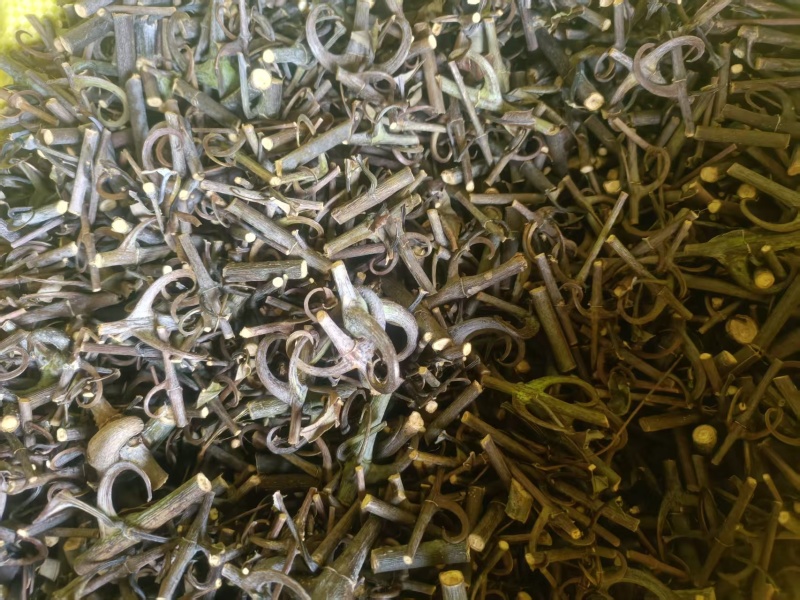 贵州钩藤产地直发品质优秀可视频看货欢迎选购