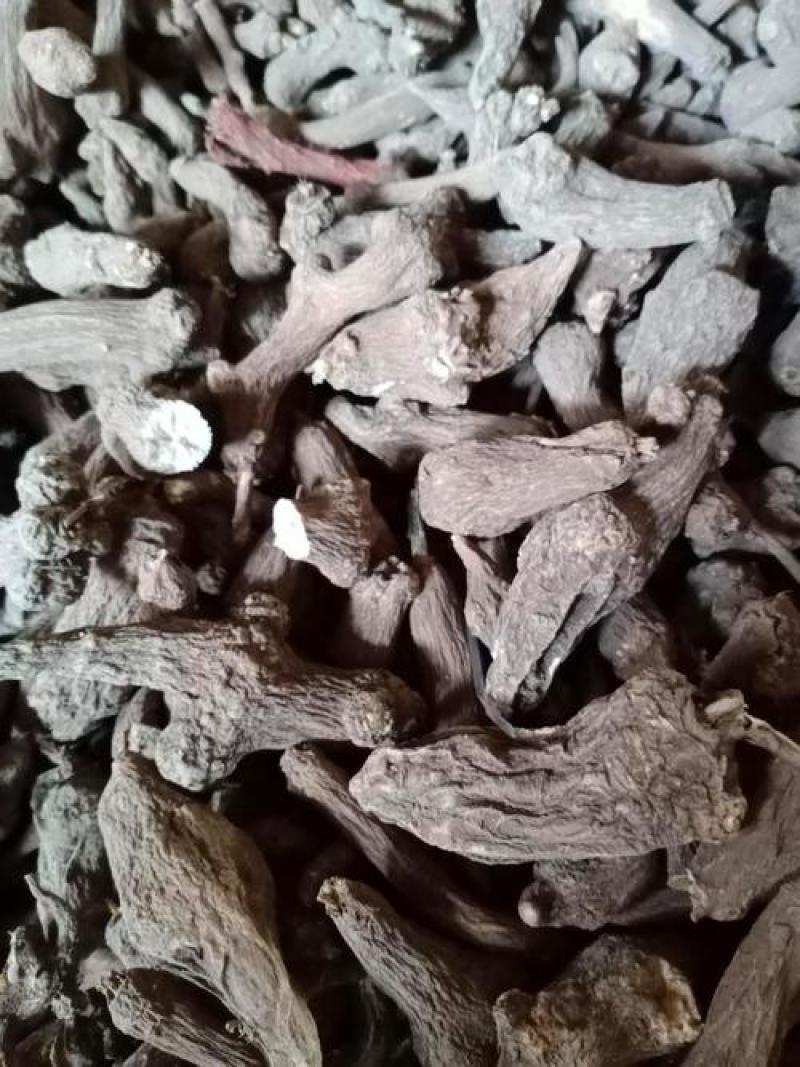 白术、一年白术统、二年白术统、批发零售、量大可优惠