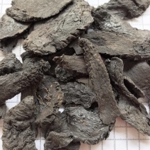 中药材批发供应肉苁蓉软大芸软质肉苁蓉片甜肉苁蓉