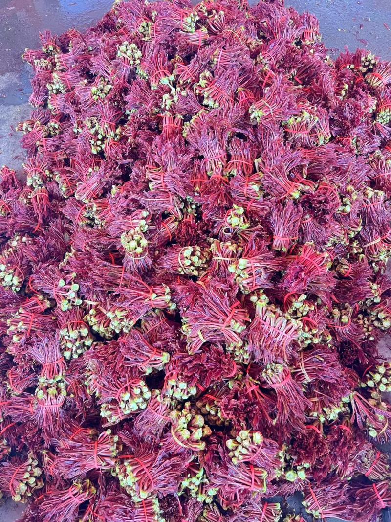 香椿芽