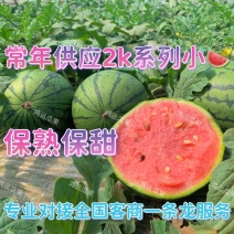 早春红玉砀山山东小吊瓜，2k小吊瓜，糖丸西瓜，2k西瓜