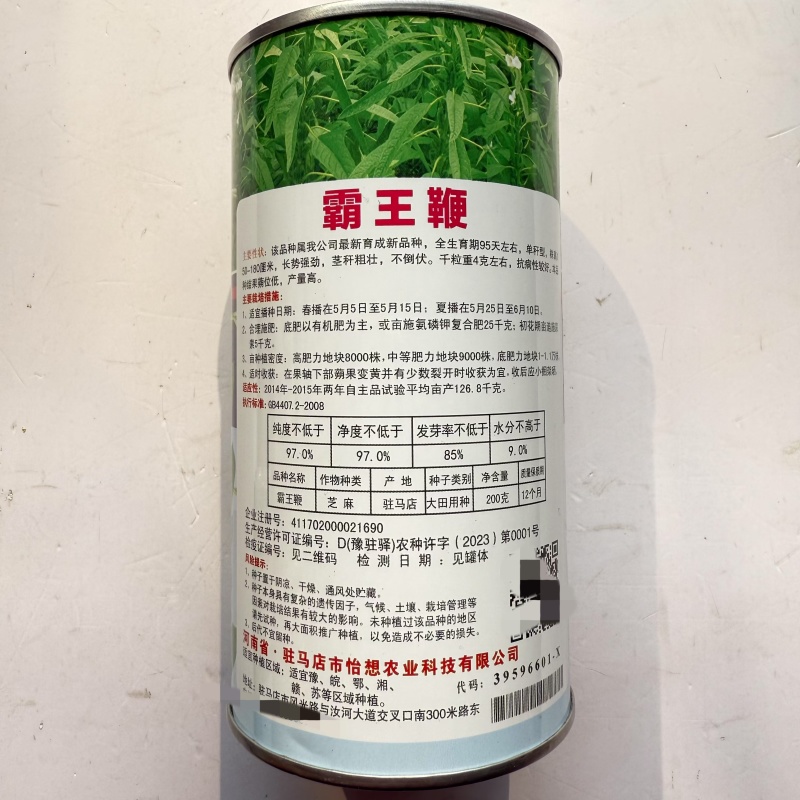 怡想霸王鞭白芝麻种子单秆型芝麻种籽长势强茎秆粗壮抗倒伏