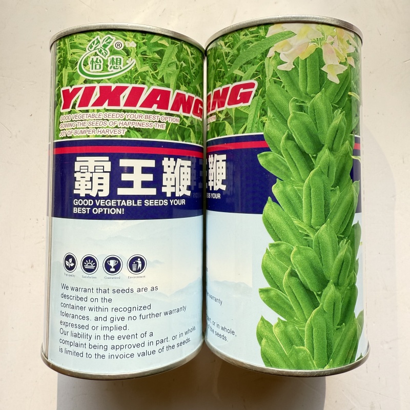怡想霸王鞭白芝麻种子单秆型芝麻种籽长势强茎秆粗壮抗倒伏