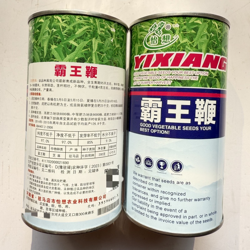怡想霸王鞭白芝麻种子单秆型芝麻种籽长势强茎秆粗壮抗倒伏