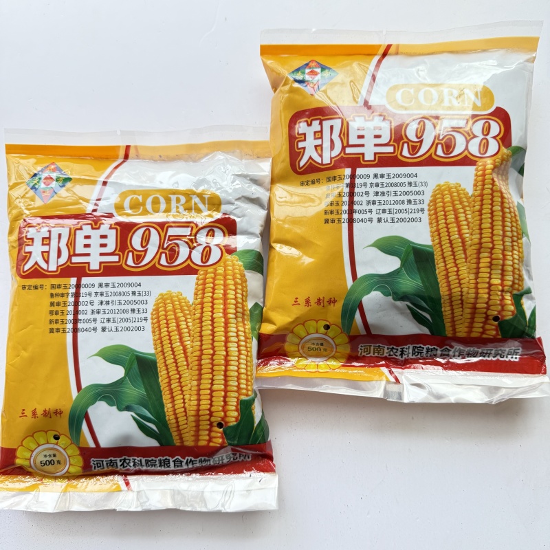 郑单958玉米种子高产大棒抗锈病抗倒抗虫矮杆农科院培育