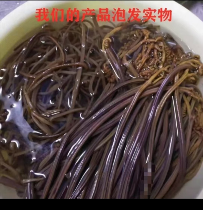 精品蕨菜大量供应对接全国各地支持视频看货欢迎来电