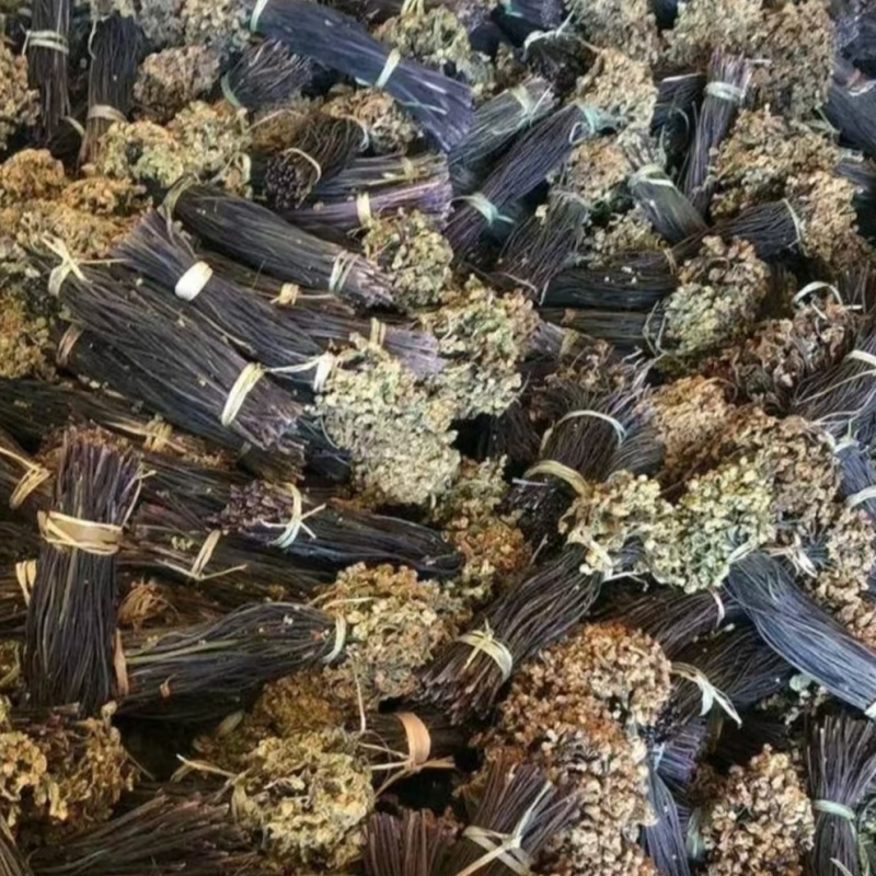 精品蕨菜大量供应对接全国各地支持视频看货欢迎来电