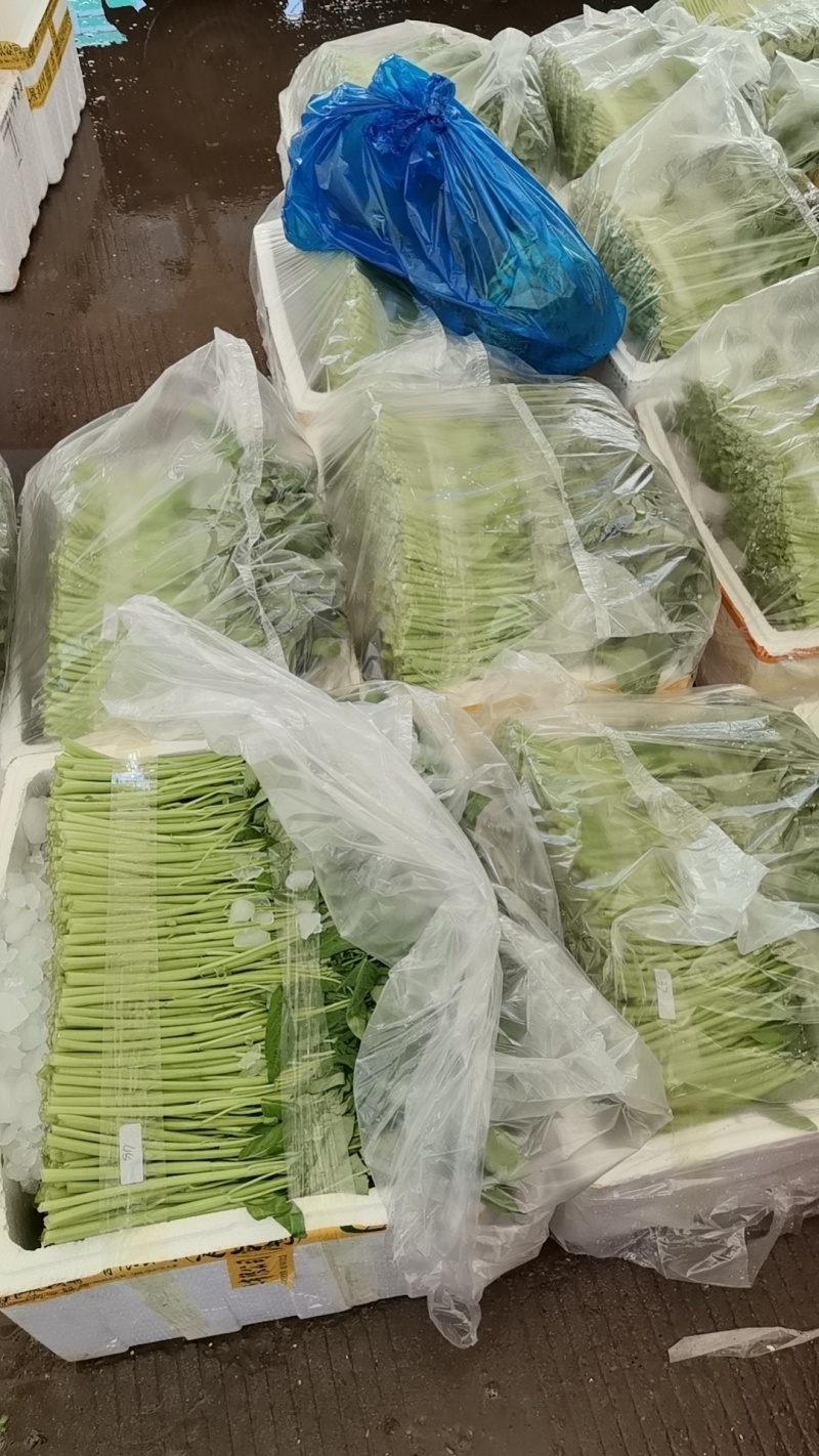精品泡沫箱空心菜#产地直发#***********
