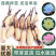 包成活四季莲花盆栽鱼缸池塘水养花卉