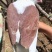 鸽子