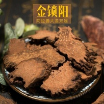 锁阳金锁阳内蒙特产产地供一手货源无硫