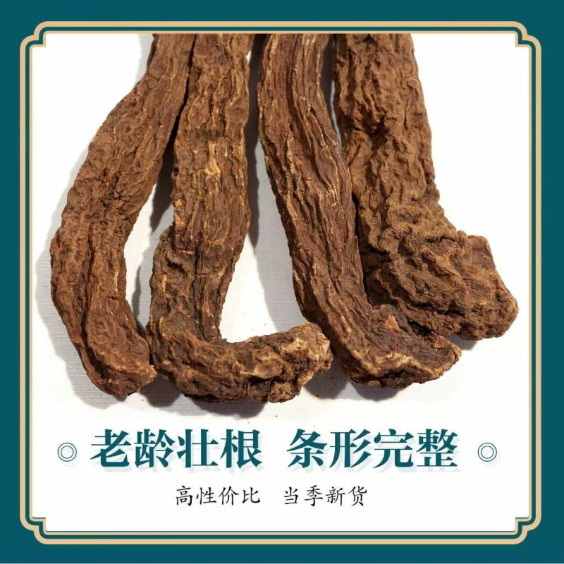 正宗锁阳野生锁阳整个正品锁阳泡茶泡酒料沙漠锁阳