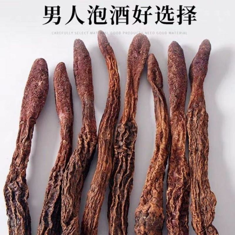 正宗锁阳野生锁阳整个正品锁阳泡茶泡酒料沙漠锁阳