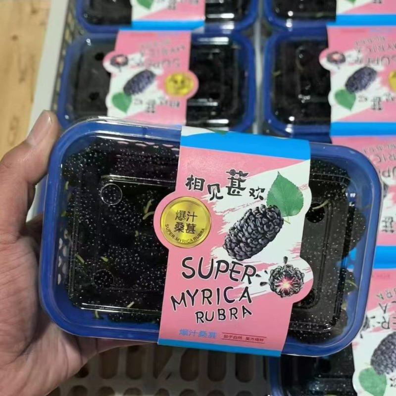 新鲜桑葚产地一手货源代办代发保质保量发货全渠道对接