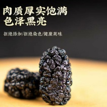 桑葚新货干净无沙精选新疆黑桑葚干泡水泡酒泡茶桑葚干无硫无