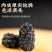 桑葚新货干净无沙精选新疆黑桑葚干泡水泡酒泡茶桑葚干无硫无
