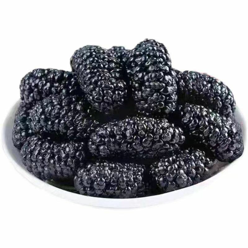 桑葚新货干净无沙精选新疆黑桑葚干泡水泡酒泡茶桑葚干无硫无