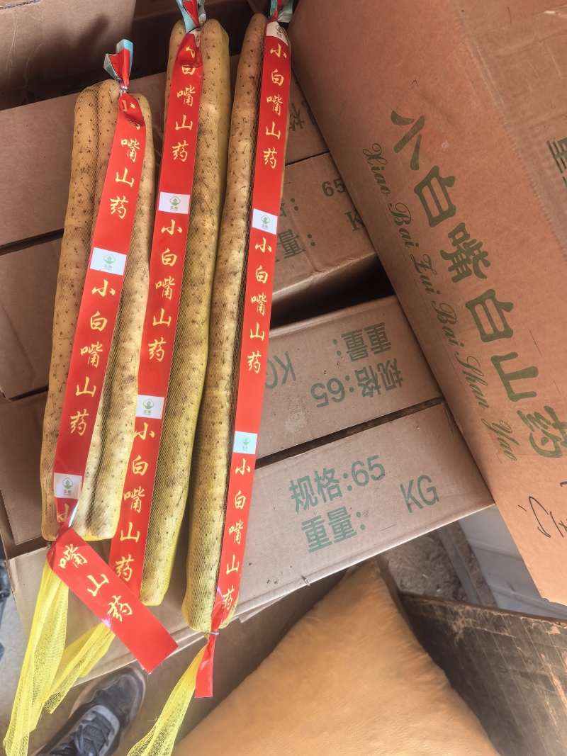 安平小白嘴山药产地直供，一手货源，量大质优，全国发货，
