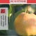 批发隰县玉露香梨75一80#18颗装