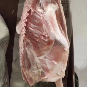半片鸭