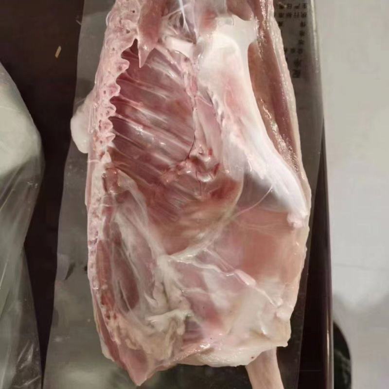 半片鸭