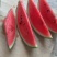 2K小糖丸，早春红玉产地直供一手货源，保质保量代发全国