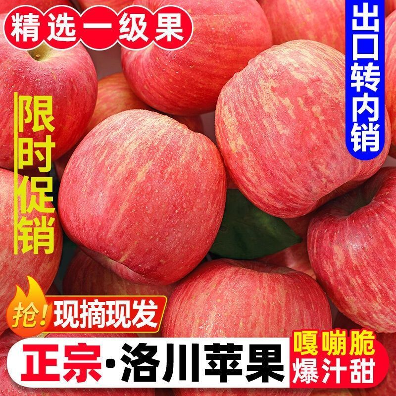 苹果一件代发，可签合同包售后，精品货一件代发