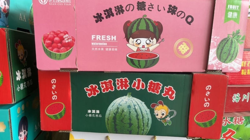陕西蒲城小糖丸脆甜爽口、皮薄肉厚精品小糖丸4月的大量上市