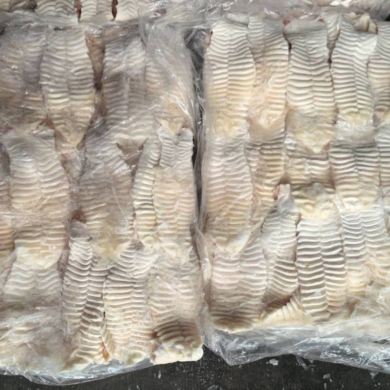 中猪天梯一箱400片，解冻16斤无肉天梯