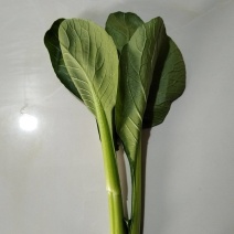 广东菜心菜苔产地长期直供，品质保证，诚信经营。