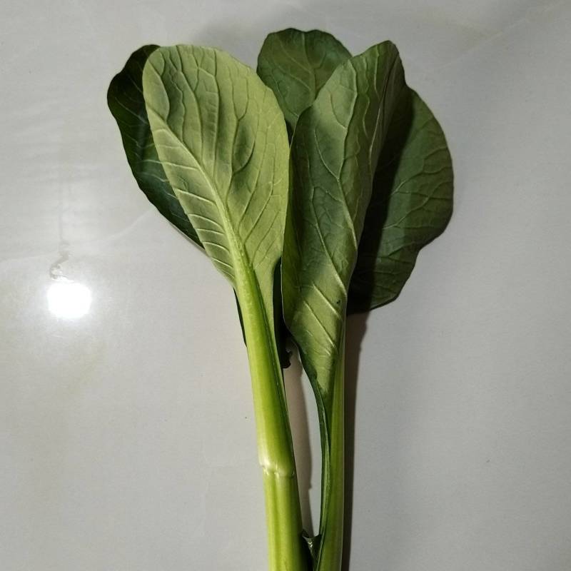 广东菜心菜苔产地长期直供，品质保证，诚信经营。