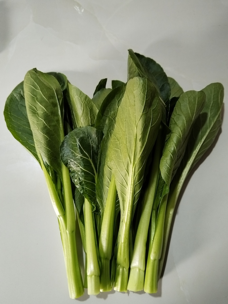广东菜心菜苔产地长期直供，品质保证，诚信经营。