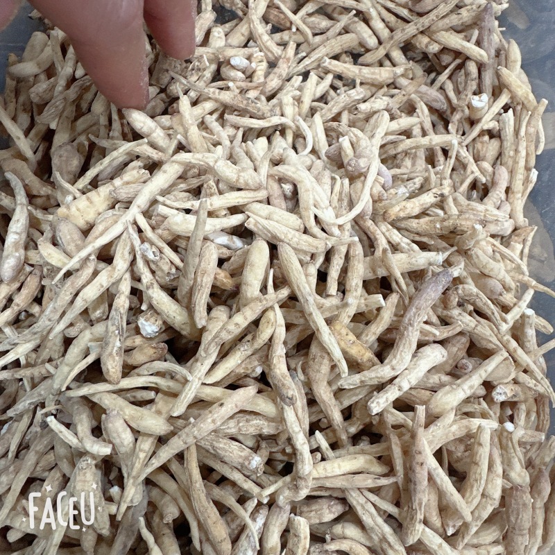 精品太子参