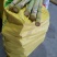 黄皮甘蔗苗4至6芽免费提供种植技术
