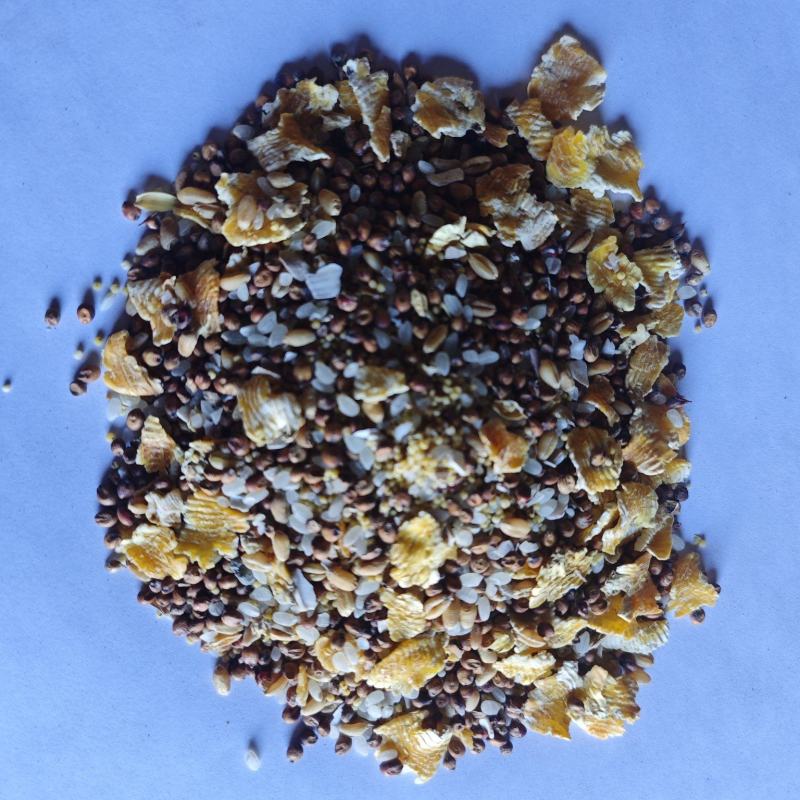 高粱麦子大米小米玉米压片贝壳混合鸟粮虎皮鹦