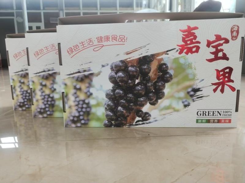 海南精品嘉宝果基地直发一手货源批发品质保证价格便宜