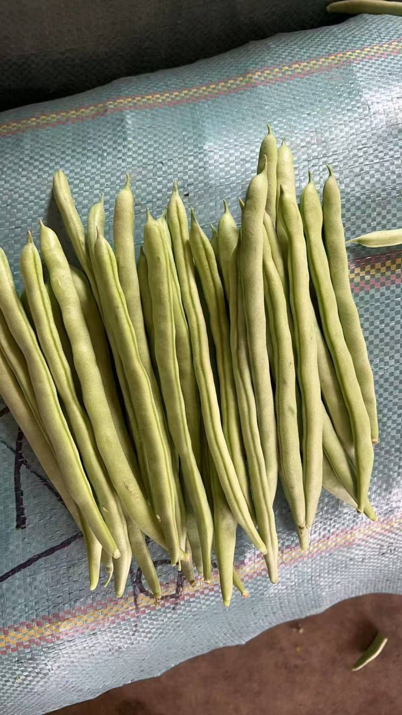 中上货精品货，大小一致，露天种植品质好，口感好