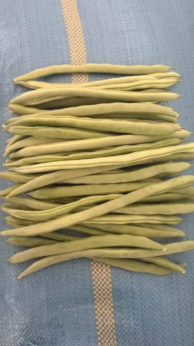 中上货精品货，大小一致，露天种植品质好，口感好