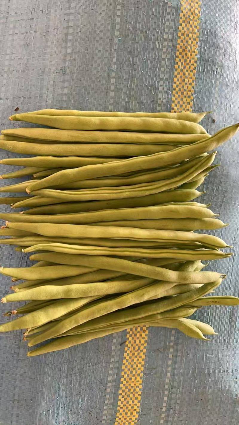 中上货精品货，大小一致，露天种植品质好，口感好