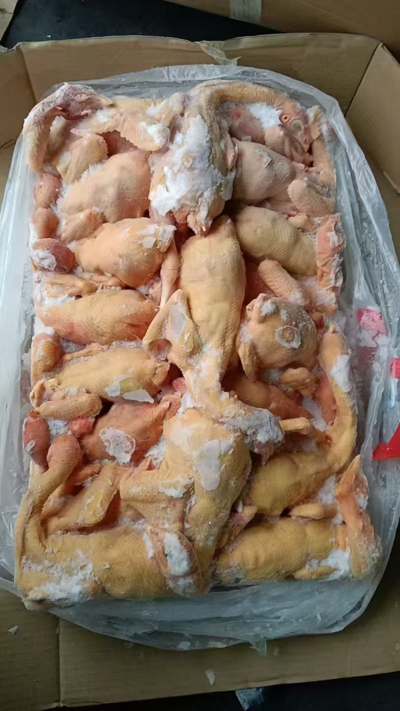 三黄鸡